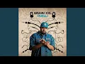 Grasu XXL feat. Maximilian & Swamp - Full Option