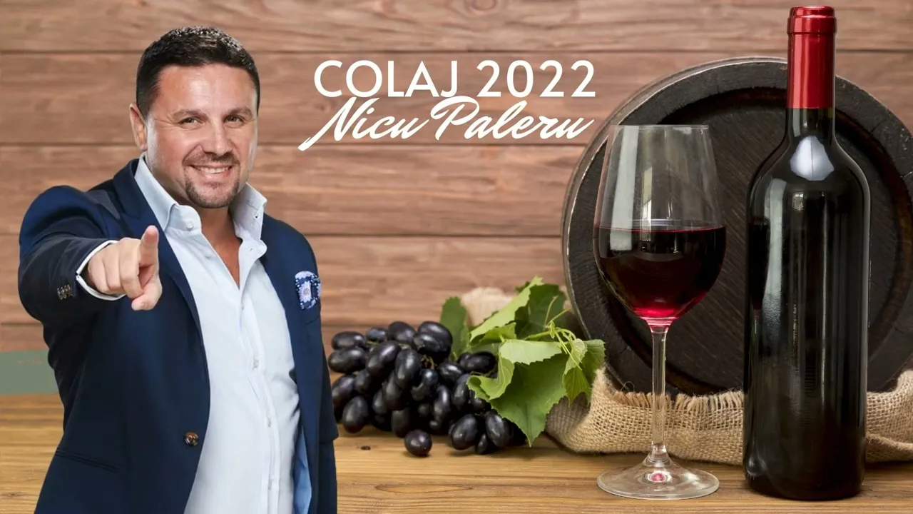 Nicu Paleru - Colaj NOU 2022 (Muzica de Petrecere si Voie Buna)