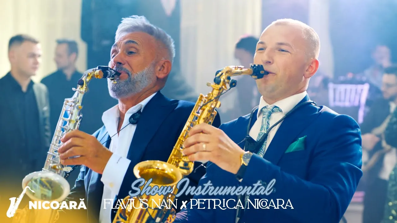 Flavius Nan x Petrica Nicoara - Show Instrumental