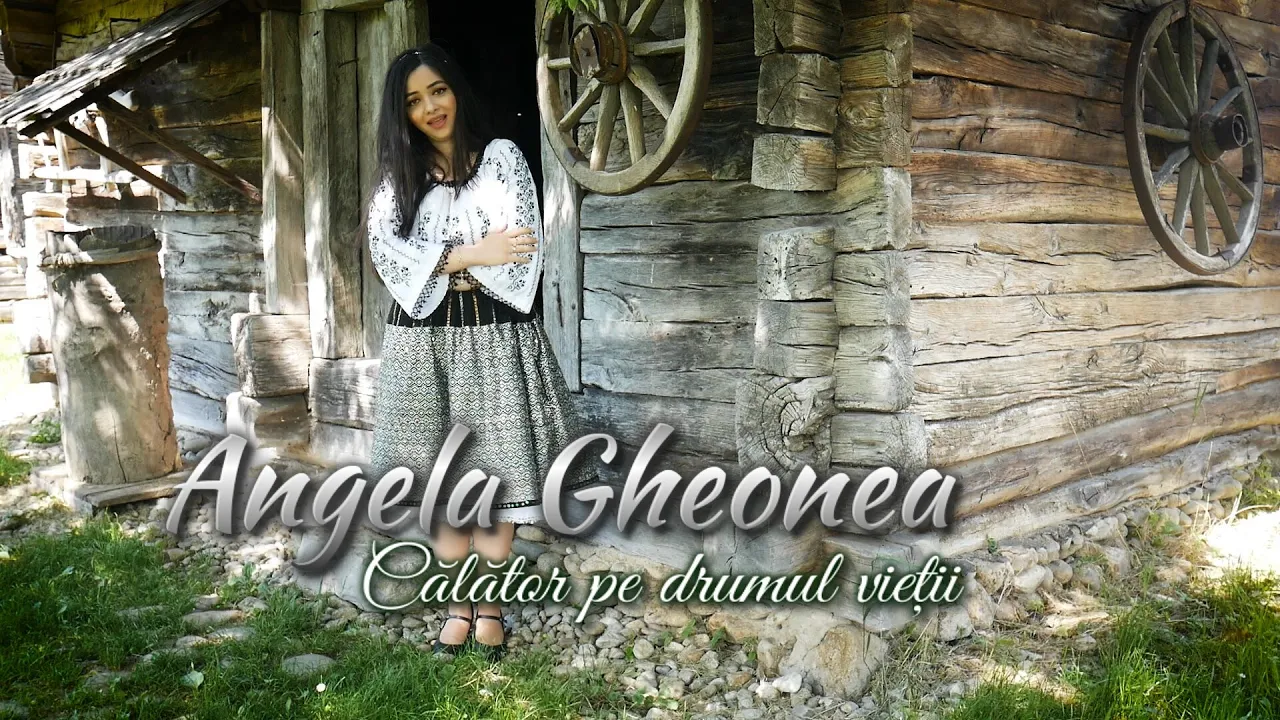 Angela Gheonea - Calator pe drumul vietii