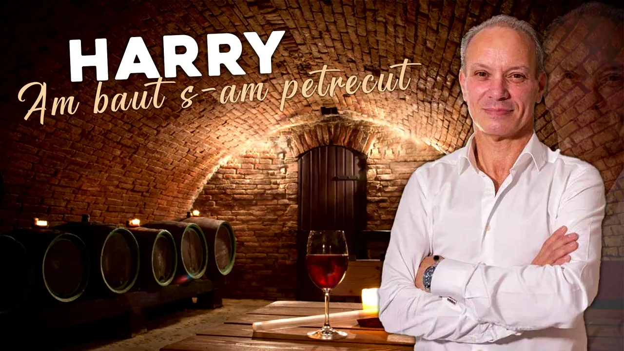 HARRY - AM BAUT S-AM PETRECUT 2023