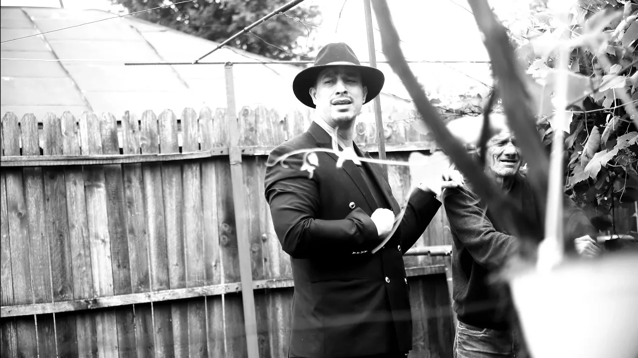 DANI PRINTUL BANATULUI - DEGEABA STAU INTR-UN PALAT 2021