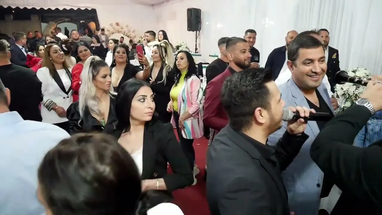 Florin Cercel - Melodia Regelui PETRICA CERCEL (LIVE VERSION 2022)