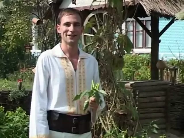 ION PALADI - FOAIE VERDE CINCI CHIPERI