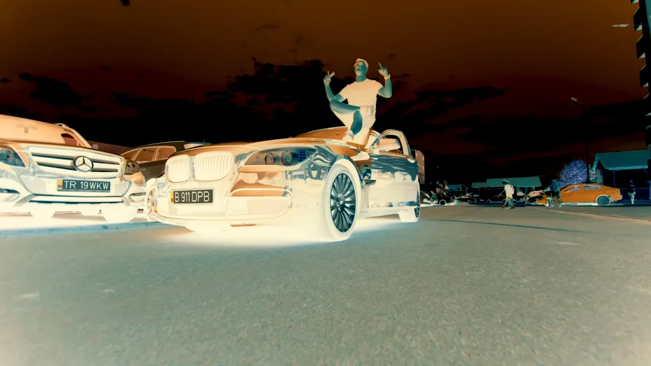 DANI PRINTUL BANATULUI - PENTRU MAMA PUNGI DE BANI (Originala 2022)