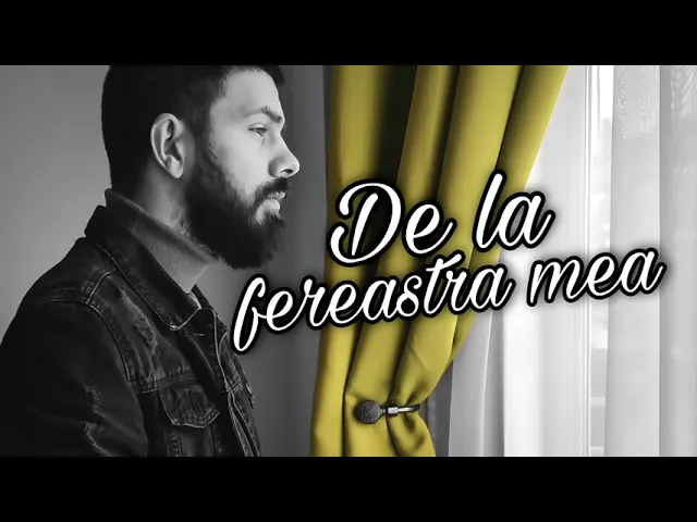 Vizante - De la fereastra mea (Original Radio Edit)