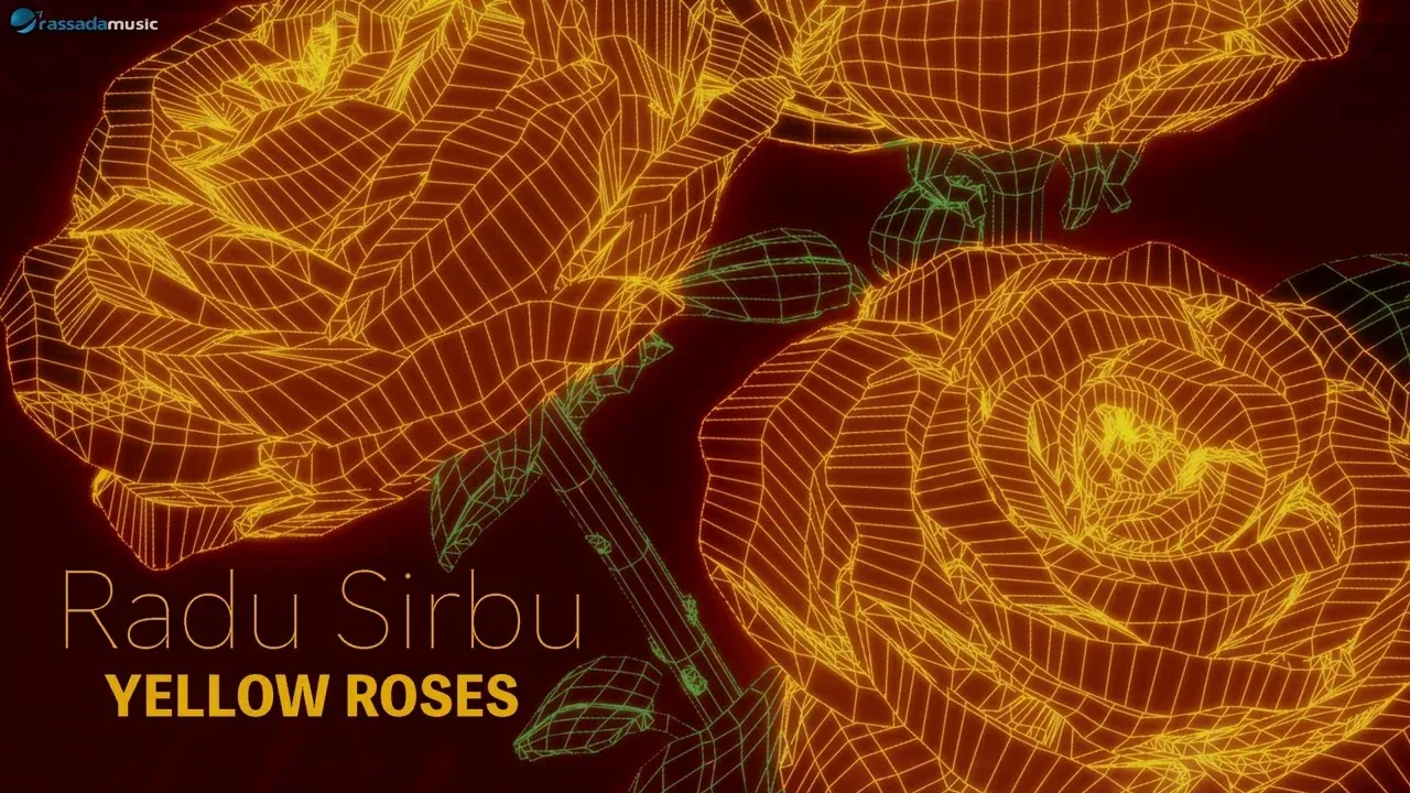 Radu Sirbu - Yellow Roses