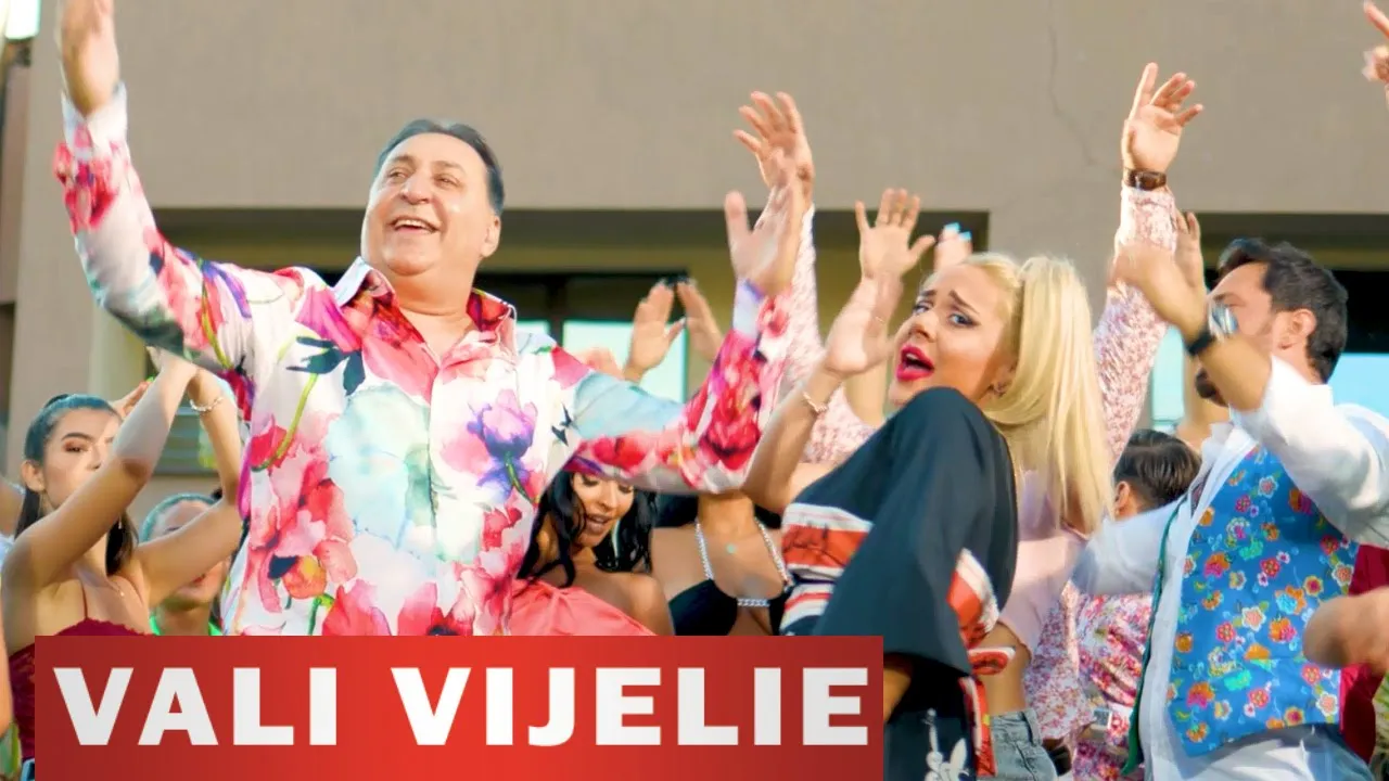 VALI VIJELIE si LEO DE LA ROSIORI - Haide sa bem (Originala 2020)