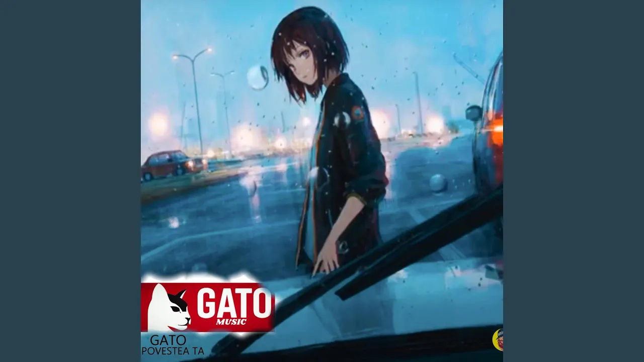 Gato - Povestea Ta (10 Beri)