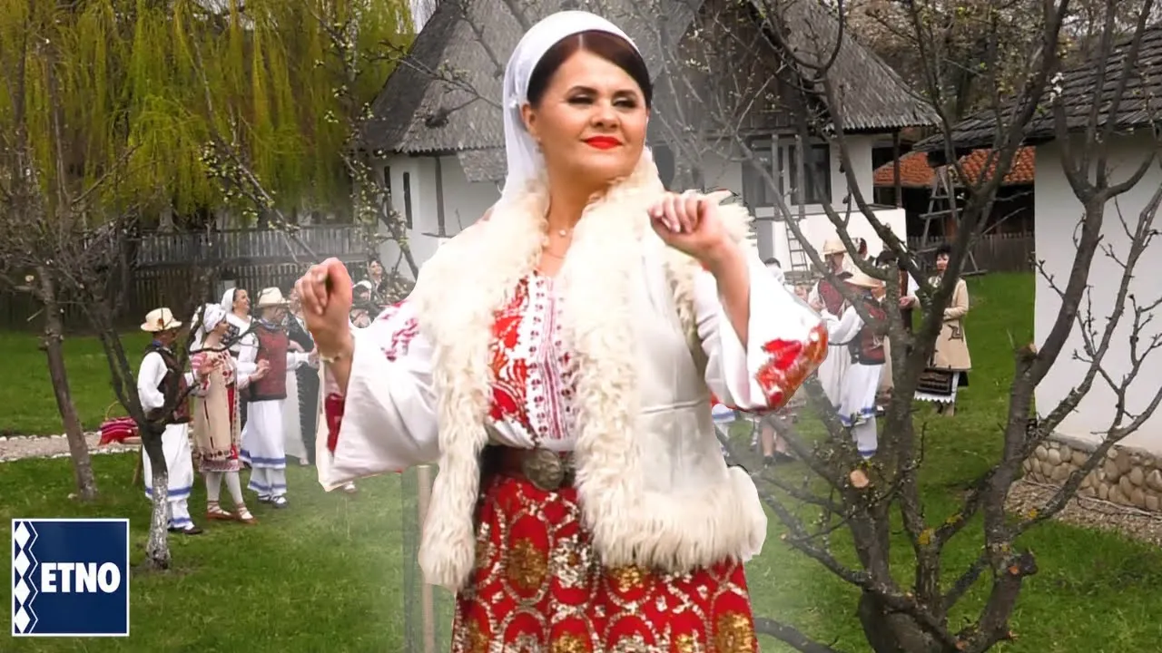 Niculina Stoican - Anul asta m-am gandit