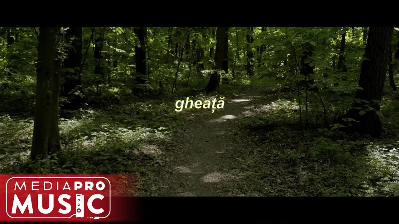 Alex Bittman - Nu pot (feat Calinacho)(Original Radio Edit)