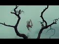 DARA - Zenit