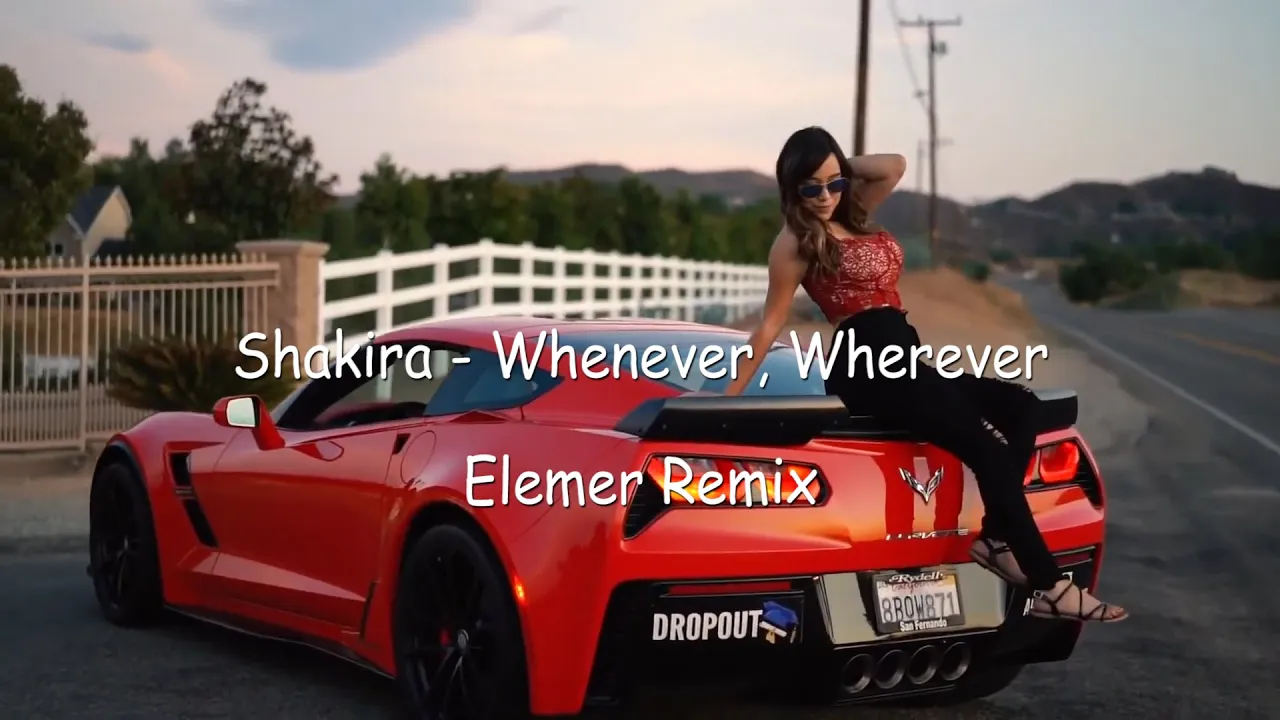 Shakira - Whenever, Wherever (Elemer Remix)