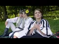 Aliana Vecerzan - Se leagana frunza in vant