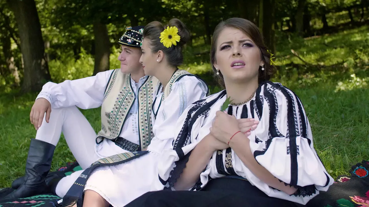 Aliana Vecerzan - Se leagana frunza in vant