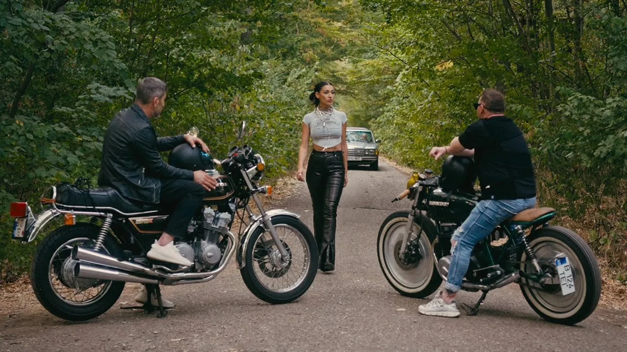 DJ Project x Alina Eremia - Privirea Ta