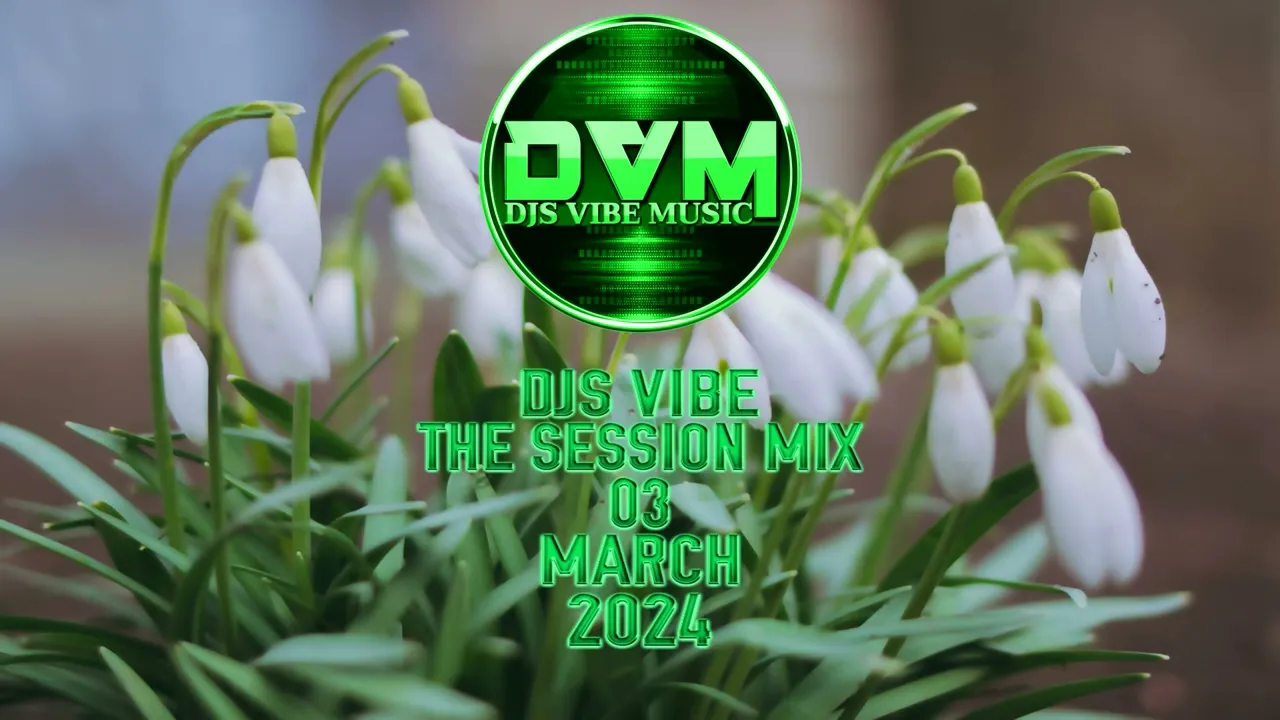 Djs Vibe - The Session Mix 03 (March 2024)