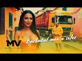 Manelele Viitorului - Barbatul meu e sofer