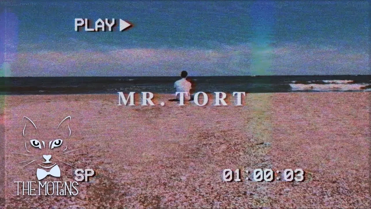 The Motans - Mr. Tort (Original Radio Edit)
