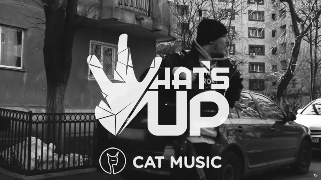 What's UP - & la RAU & la BiNE (Original Radio Edit)