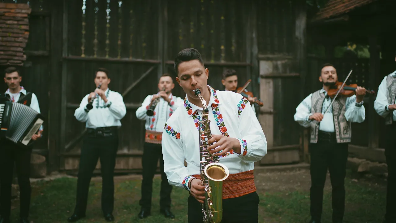 Mario Mates - Brau de banat instrumental