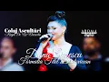 Dana Gruescu & Formatia Titel Brestovicean - Colaj Ascultari