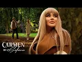 Carmen de la Salciua - Baiatul meu