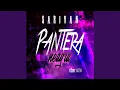Sarivan - Pantera Neagra (Original Radio Edit)