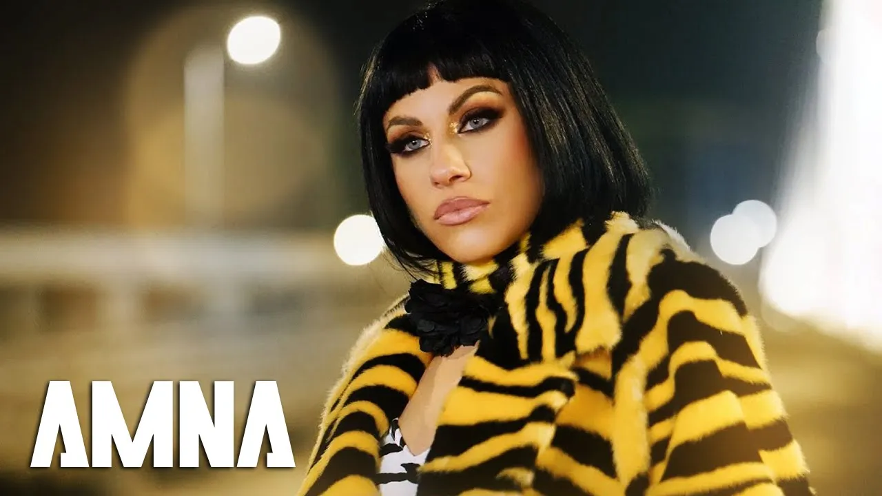 AMNA - Poate mai tarziu (Original Radio Edit