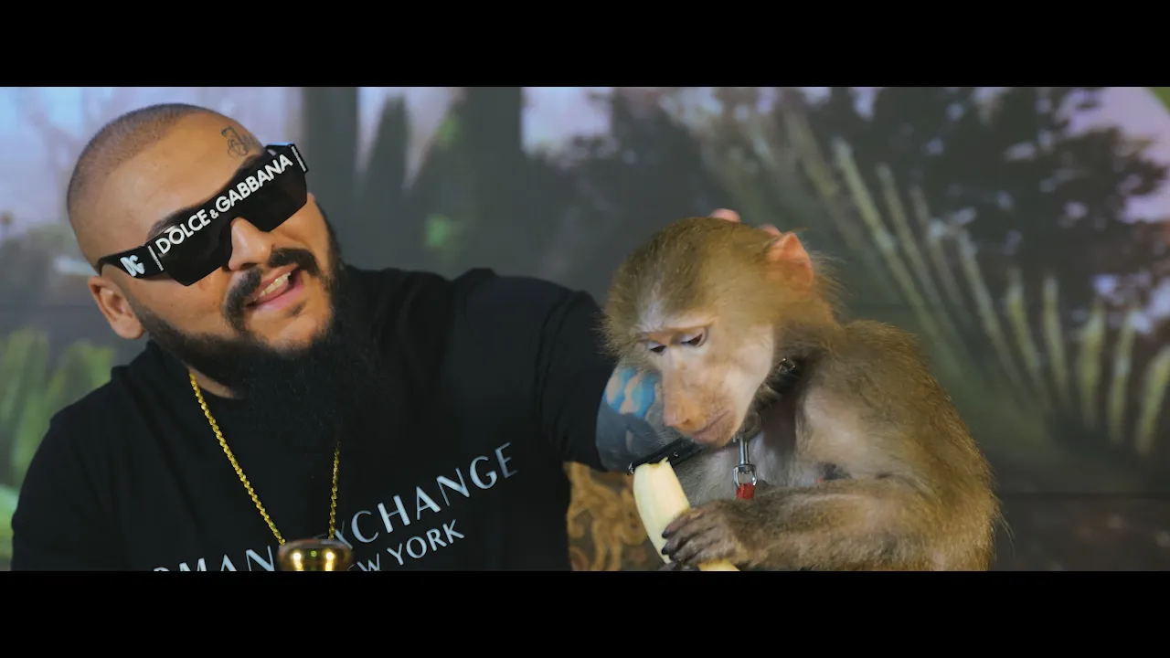 Dani Mocanu - Bucuresti x Timisoara (Originala 2021)