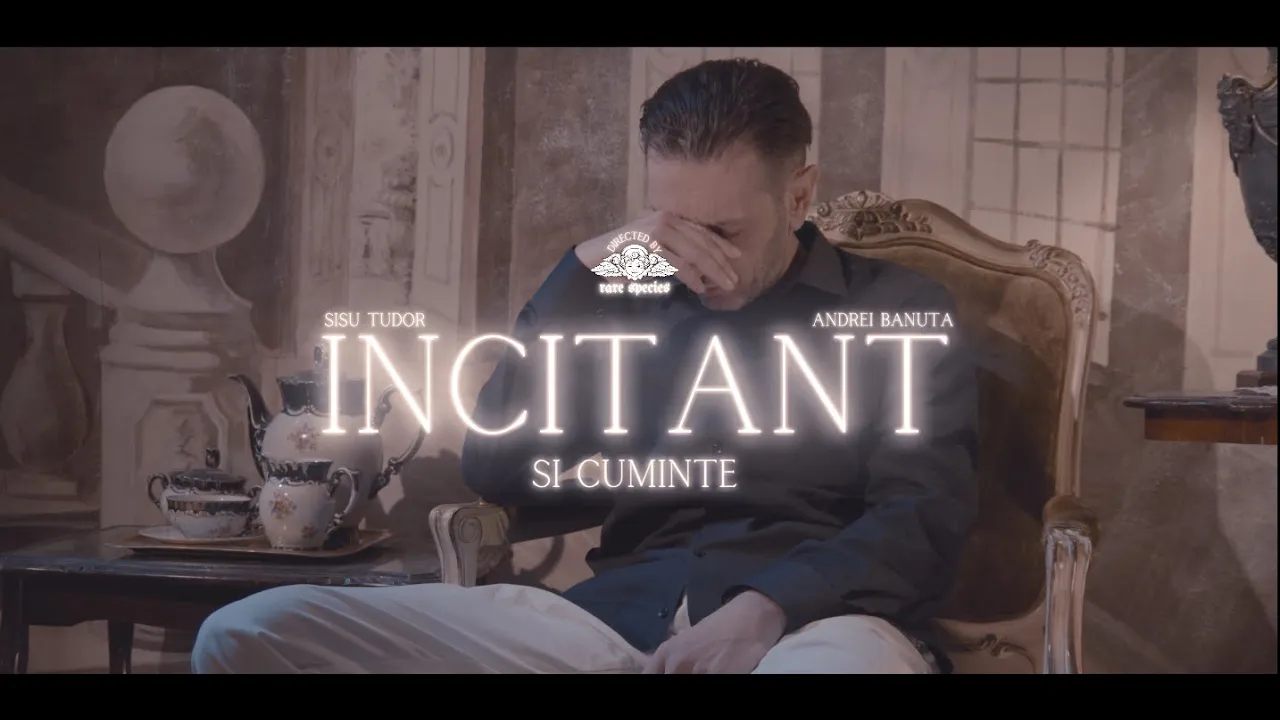 Sisu Tudor feat Andrei Banuta - Incitant si cuminte (Original Radio Edit)