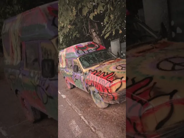 Liviu Guta - Zile Cu Soare