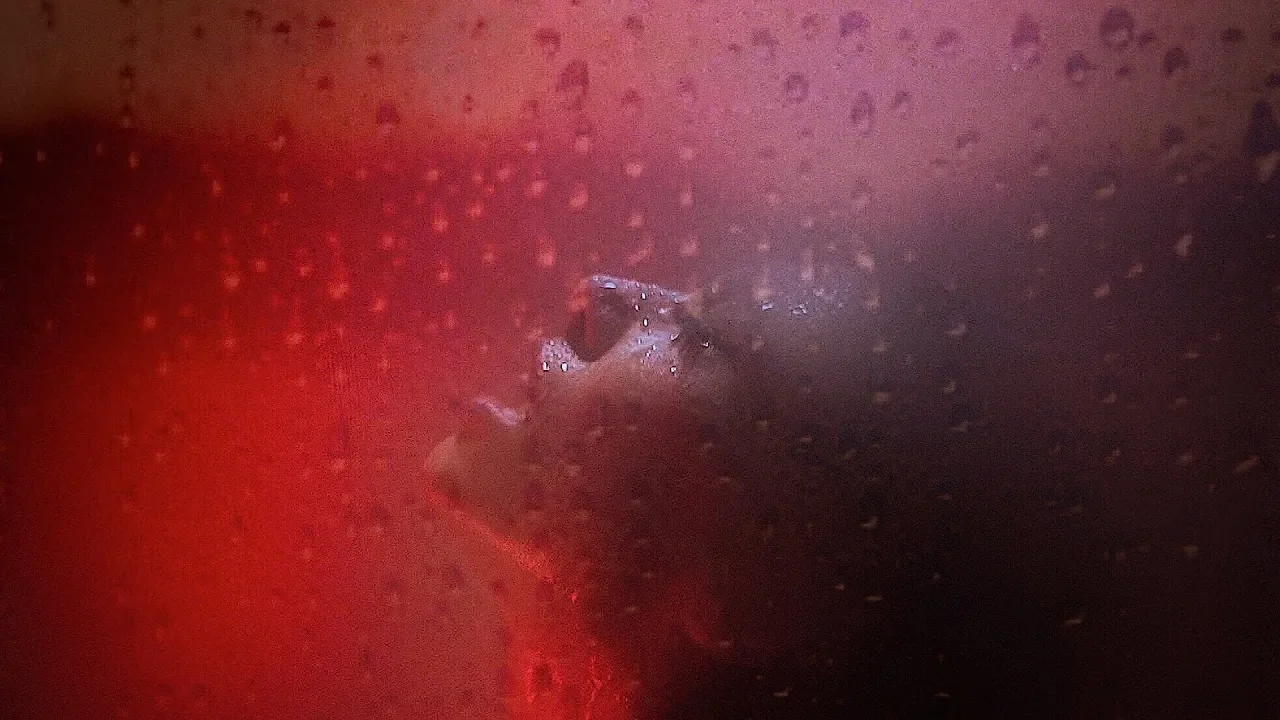 Velisar - Liniste (Original Radio Edit)