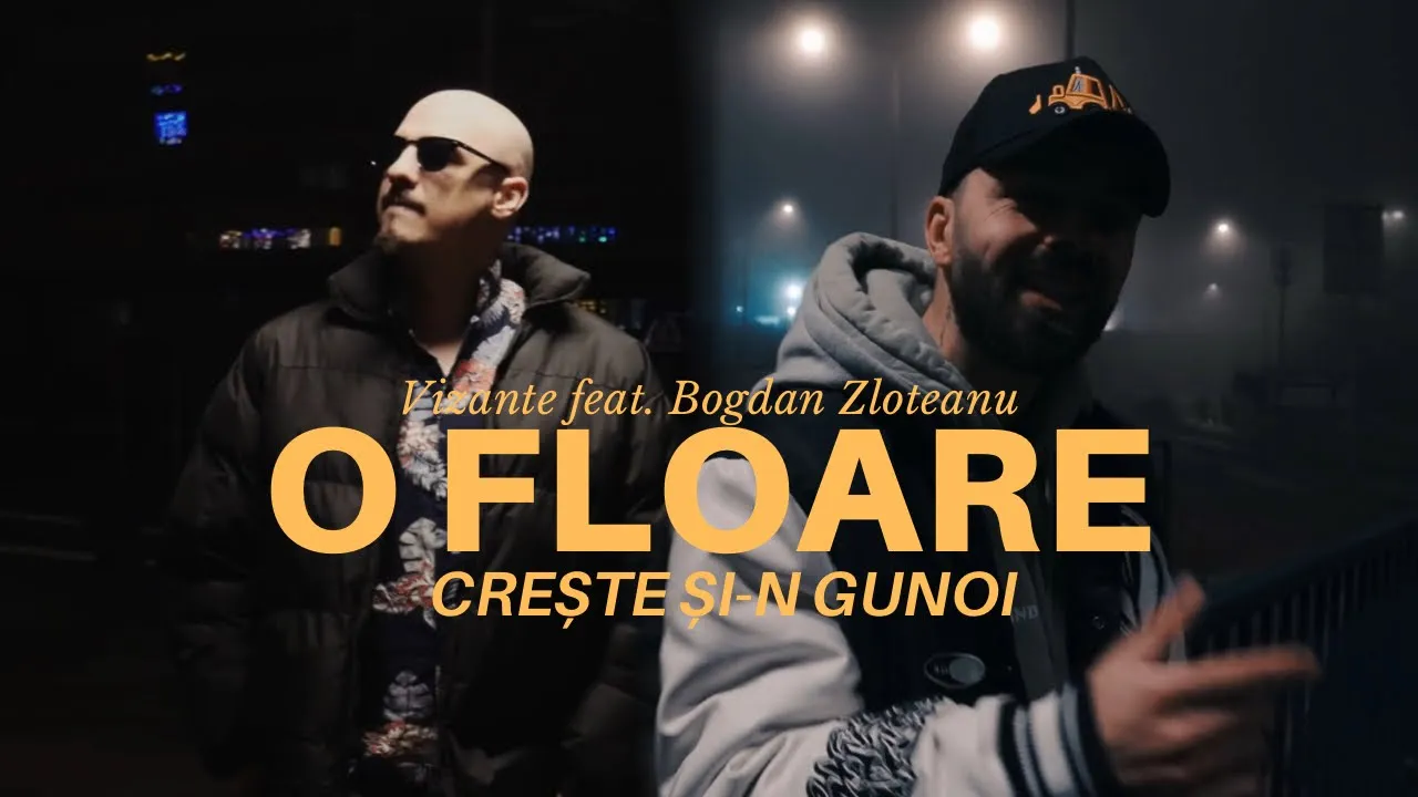 Vizante x Bogdan Zloteanu - O floare creste si-n gunoi