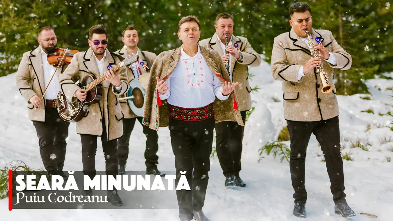 Puiu Codreanu - Seara minunata