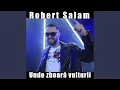 Robert Salam - Am barbat finete mare (Originala 2019)