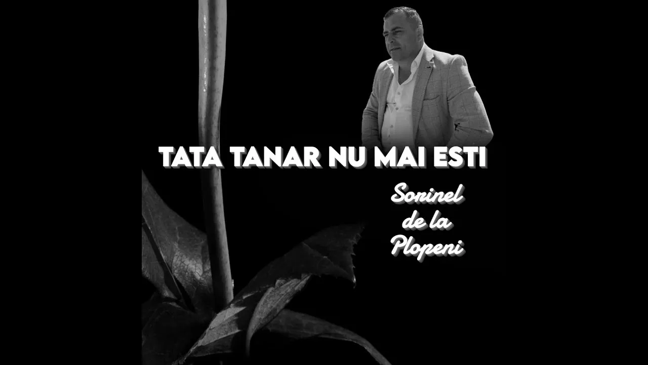 SORINEL DE LA PLOPENI - TANARA FRUMOSA-TI PLACE