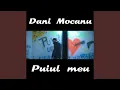 Dani Mocanu - Puiul meu (Originala 2018)