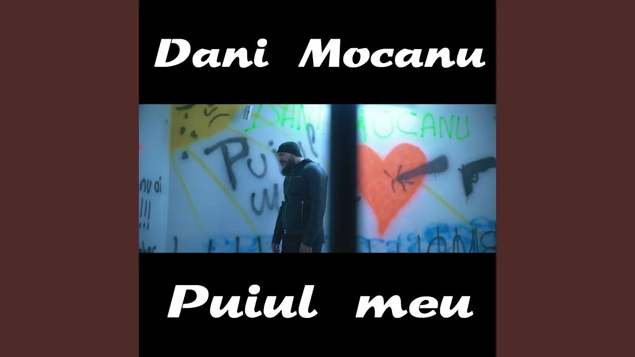 Dani Mocanu - Puiul meu (Originala 2018)