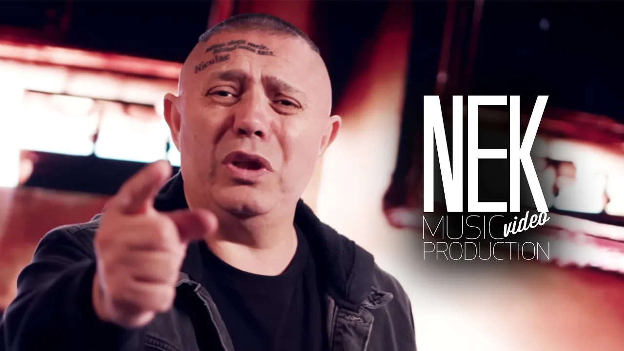 Nicolae Guta - Plangi si da-ti cate o palma (Originala 2023)