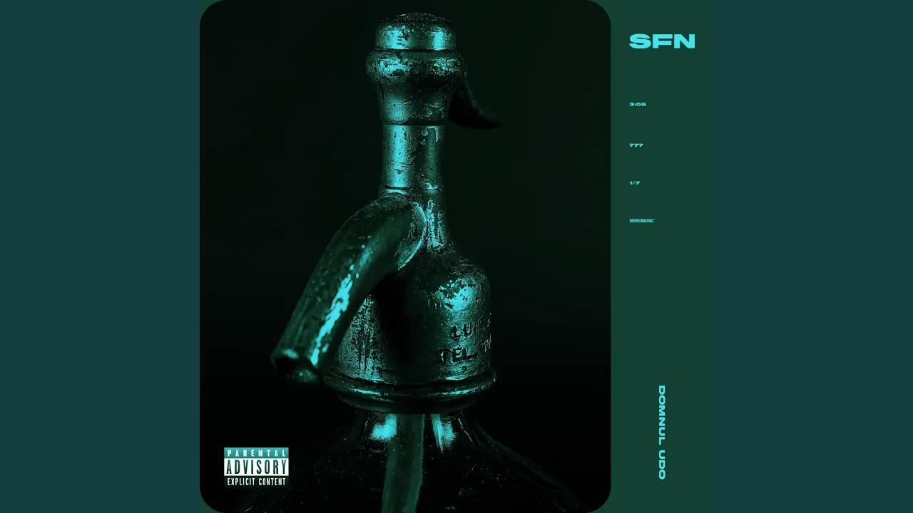 Domnul Udo - SFN (Original Radio Edit)