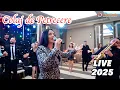 Verde siminoc, Hai cu toti la joc x Colaj 2025 x Formatia Iulian de la Vrancea