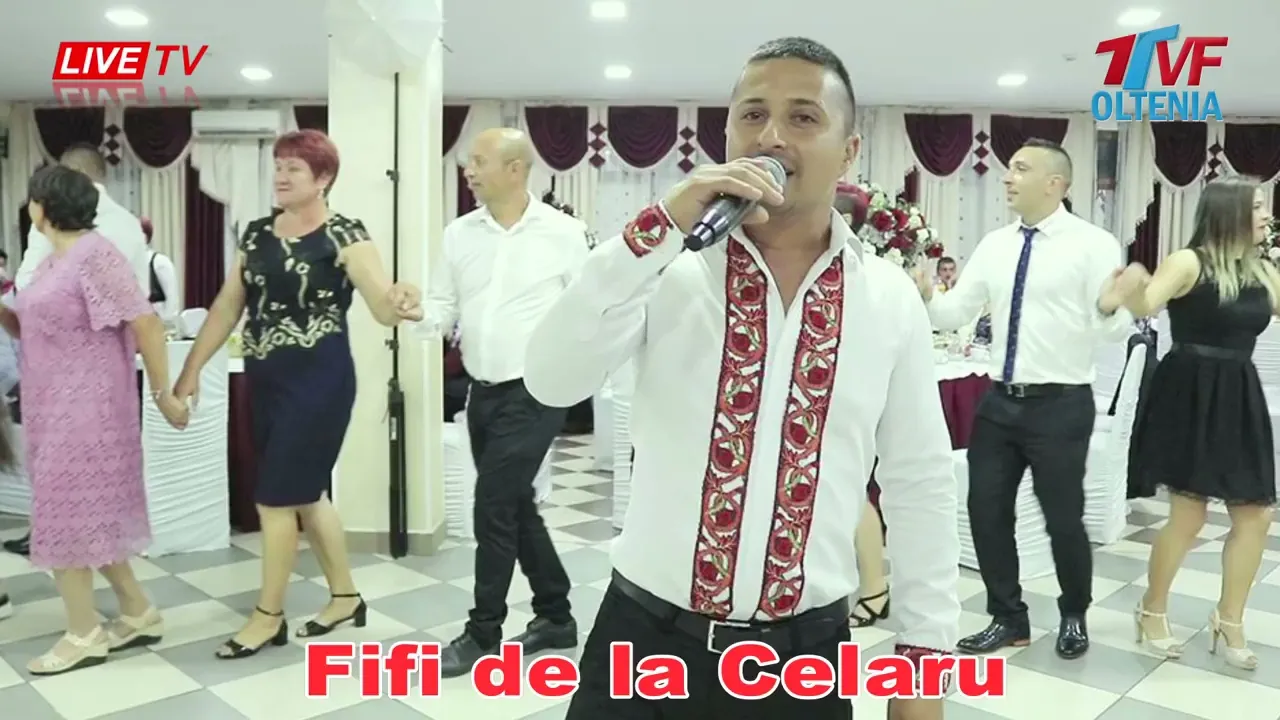 Fifi de la Celaru - Frunzulita viorele din toate mandrele mele - Colaj de petrecere - LIVE 2025