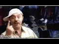 thumbnail_JEuKKN4q-mU