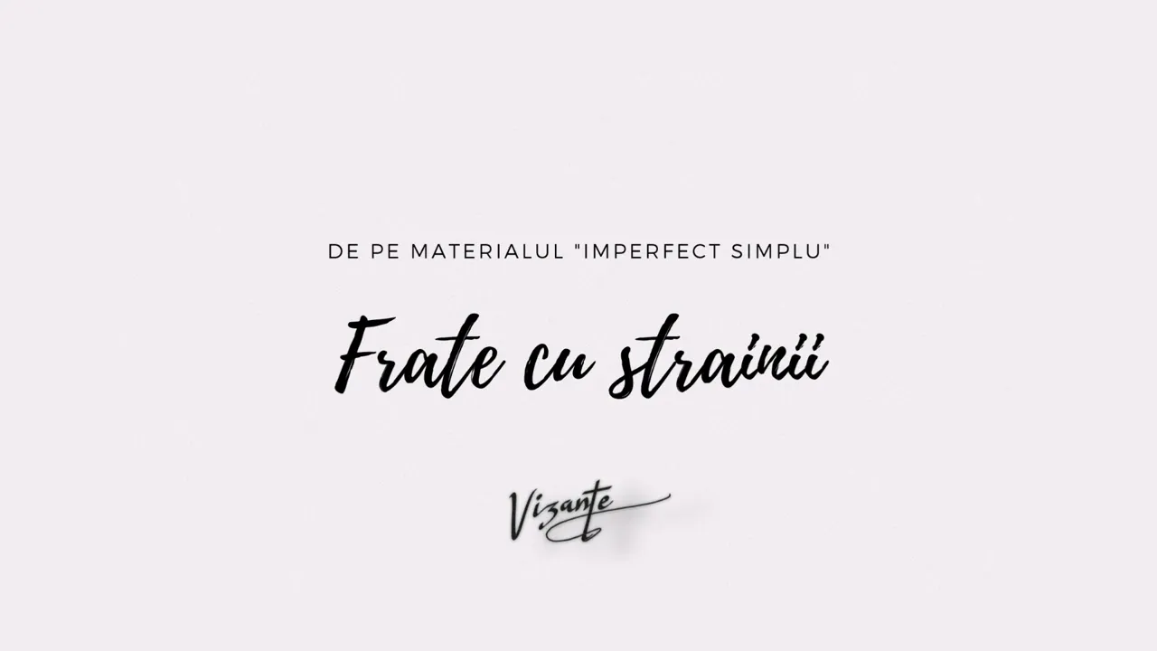 Vizante - Frate cu strainii (Original Radio Edit)