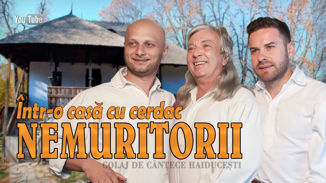 NEMURITORII - Intr-o casa cu cerdac (COLAJ 2021)