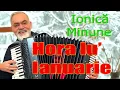 Ionica Minune - Hora lu' Ianuarie NEW