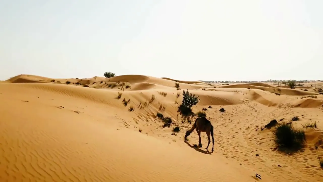 Jimmy Dub feat. Lissa Ken - Love me (Car Boostez REMIX)