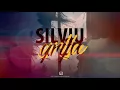 Silviu - Grija 2017