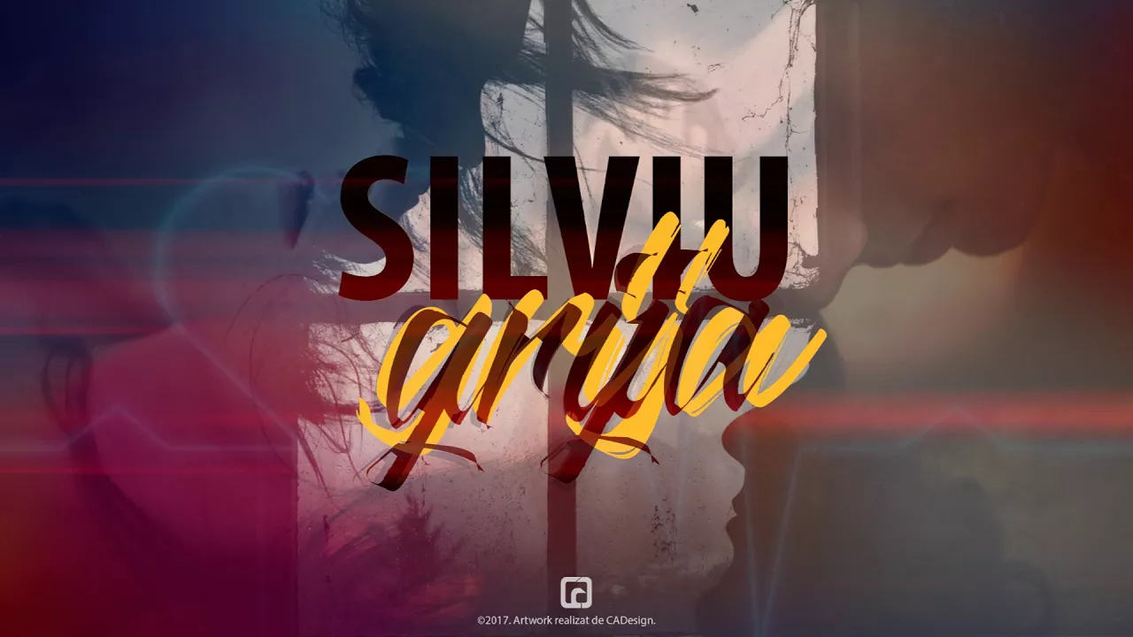 Silviu - Grija 2017